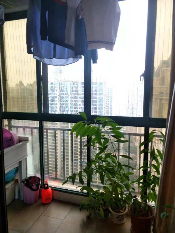 恒大綠洲95萬_3